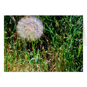 "Haga colección de un deseo"