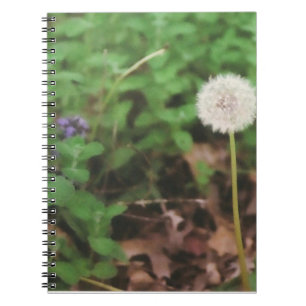 "Haga cuaderno del diente de león de un deseo"