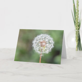 Haga una tarjeta de felicitación del deseo (el
