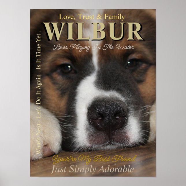 Hagan De Su Mascota La Estrella Que Son Posters De (Frente)