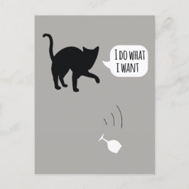 Hago Lo Que Quiero La Postales De Cat