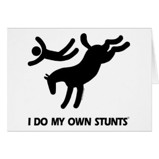 Hago mi propio caballo de Stunts™: imagen chistosa