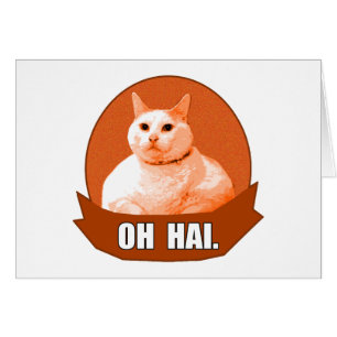 HAI.