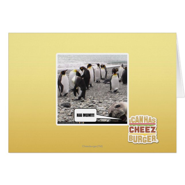 ¡¡¡HAI MOM!!! (Anverso (Horizontal))