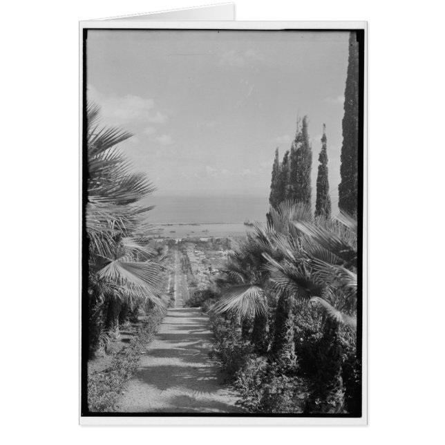 Haifa - del monte Carmelo, CA 1920 (Frente)