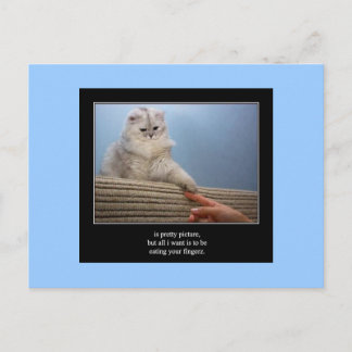 haiku cat 14 postal