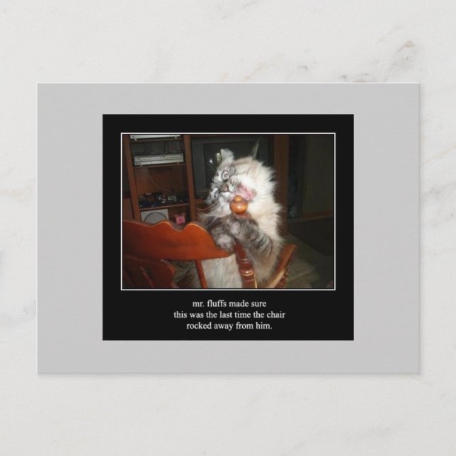 haiku cat 15 postal (Anverso)