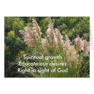 Haiku de crecimiento espiritual