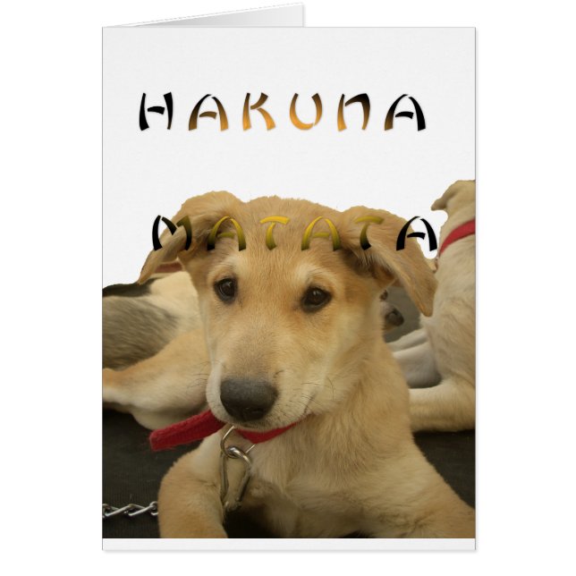 Hakuna Matata Sé lo que estás pensando pinctur (Frente)