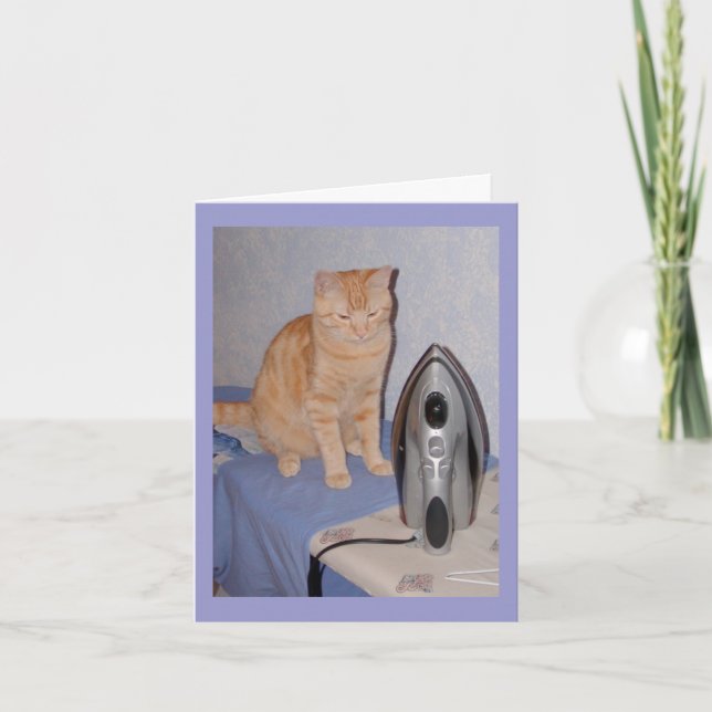 Hal la tarjeta del día de San Valentín del gato (Anverso)