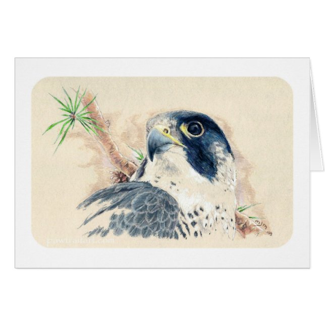 Halcón (Anverso (Horizontal))