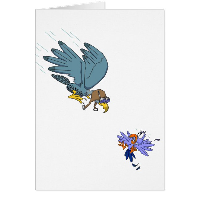 Halcón con gafas (Frente)