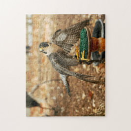 halcón de peregrino, pájaro del rompecabezas de la