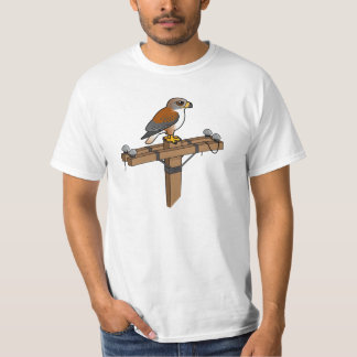 Halcón ferruginoso en polo de poder