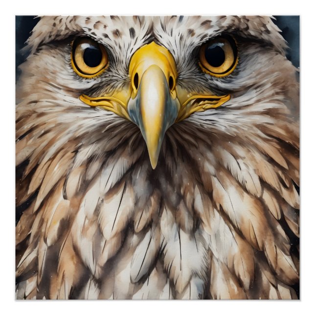 Halcón no 5 Poster brillante (Anverso)