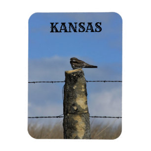 Halcón nocturno durmiendo en un imán de Stone Post