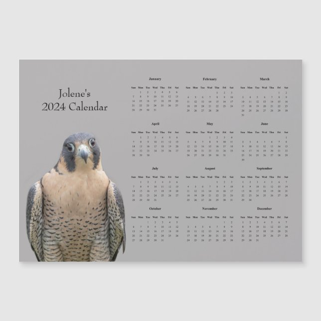 Halcón Peregrino y un calendario 2024 (Anverso)