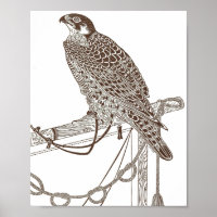 Halcón Perpenado, Icónico, Arte Falcon, Impresión 
