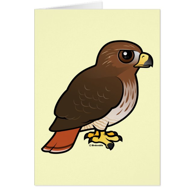 halcón Rojo-atado (Frente)