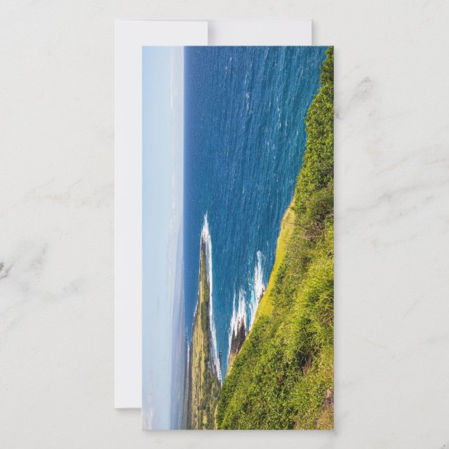 haleokane mirando hacia la bahía de honuapo (Anverso)