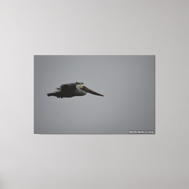 Half Moon Bay Fierce Pelican III - Lienzo envuelto (Anverso)