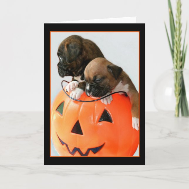 Halloween Boxer cachorros tarjeta de saludo (Anverso)