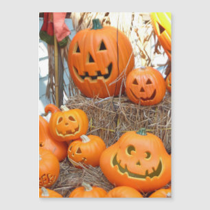Halloween calabazas de calabazas de naranja de lin