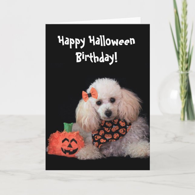 Halloween Cumpleaños tarjeta de perro para perros (Anverso)