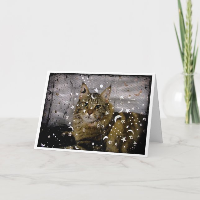 Halloween de gato o cualquier tarjeta de saludo de (Anverso)