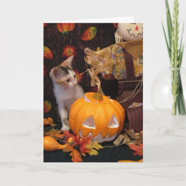 Halloween de otoño - Tarjeta de Halloween Cat / Ki (Anverso)