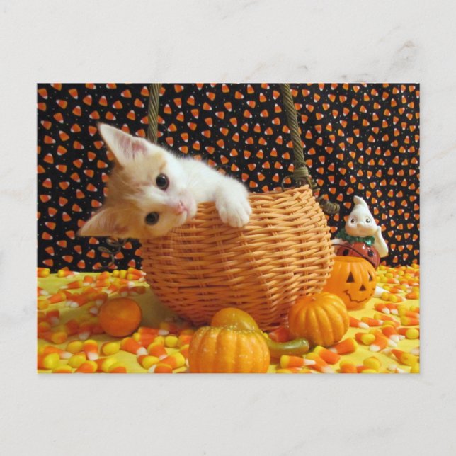 Halloween dulce de Annie - Postales para gatos y g (Anverso)