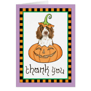 Halloween English Springer Gracias