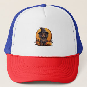 Halloween Gorra de brujas Calabaza perro Dachshund