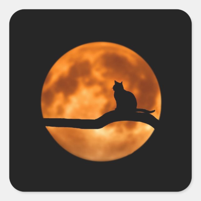 Halloween Naranja de gato negro cosecha a Pegatina (Anverso)