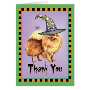 Halloween Pomeranian Gracias