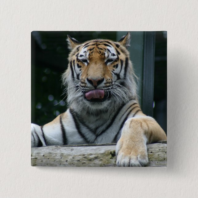 HAMbWG - Botón cuadrado - Tigre (Anverso)