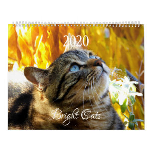 HAMbWG - Calendario de gatos brillantes