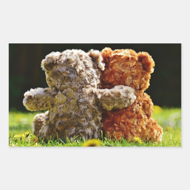 HAMbWG - Pegatinas Rectangle - 2 Osos de peluche (Anverso)
