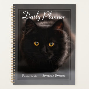 HAMbWG - Planificador Diario de Fotos - Gato Negro