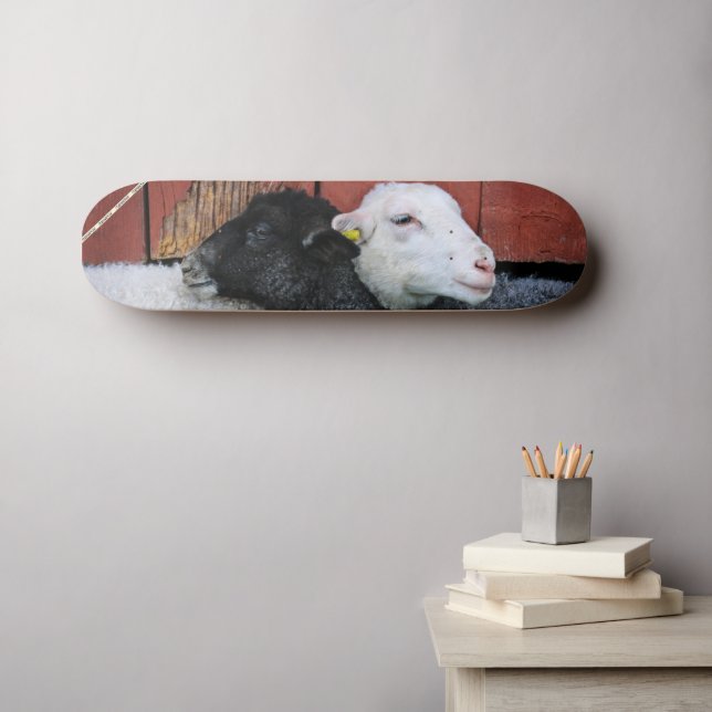 HAMbWG Skateboard de ovejas blancas negras (Arte de pared (horz))
