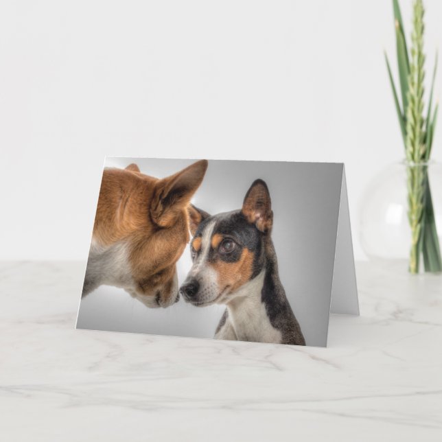 HAMbWG - Tarjeta de felicitación - 2 perros (Anverso)