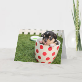 HAMbWG - Tarjeta de saludo - TeaCup Puppy