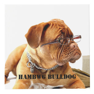 HAMbyWG Haga su propio Personalizado Cubo de foto 