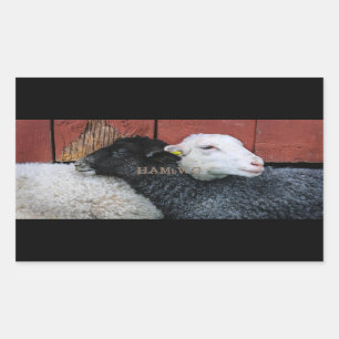 HAMbyWG- Pegatinas - Oveja blanca de oveja negra