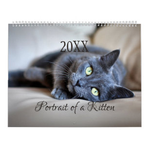 HAMbyWG- Retrato de un calendario gatito