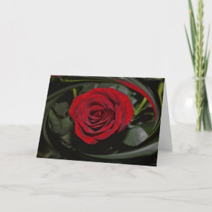 HAMbyWG - Tarjeta de felicitación - Hermosa Rosa R