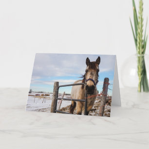 HAMbyWG - Tarjeta de saludo - Cercada en caballo