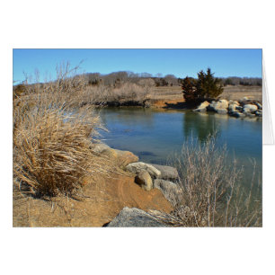 Hammonasset En Marzo