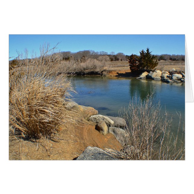 Hammonasset En Marzo (Anverso (Horizontal))