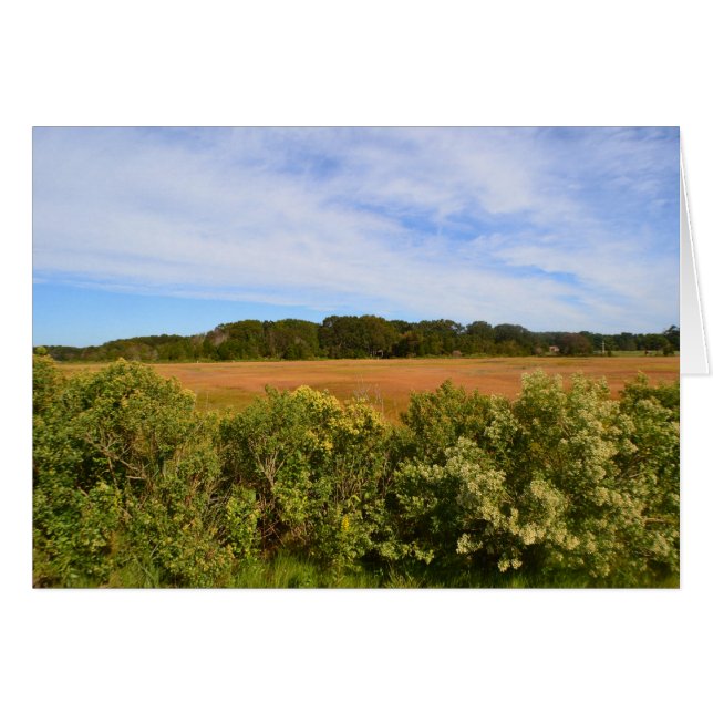 Hammonasset Notecard (Anverso (Horizontal))